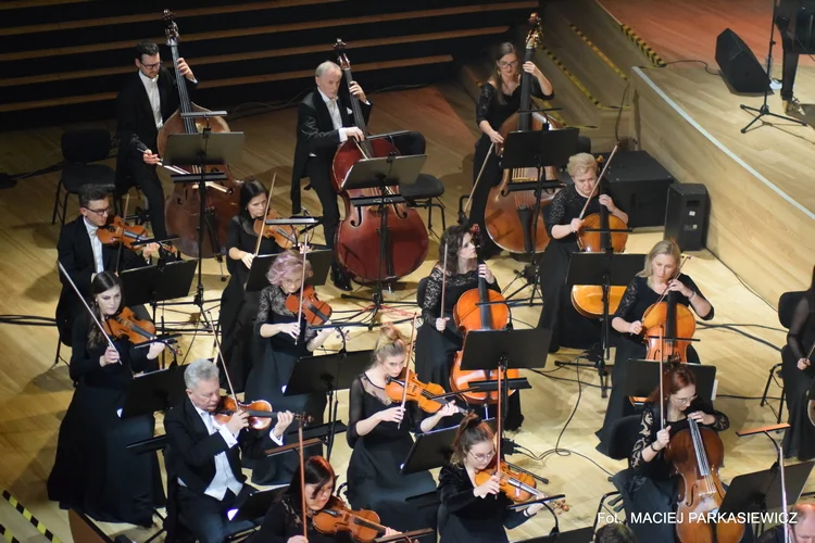 4. Arena Festival film&music - wersja online