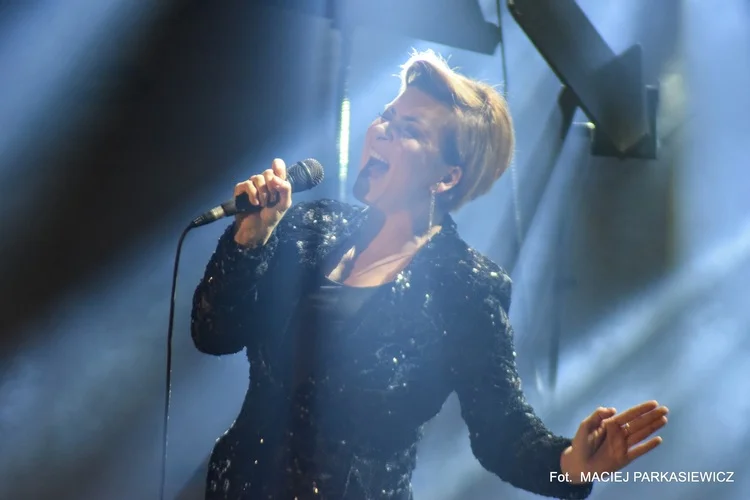 4. Arena Festival film&music - wersja online