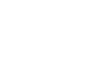 Arena Festival film & music