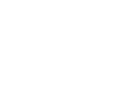 Arena Festival film & music